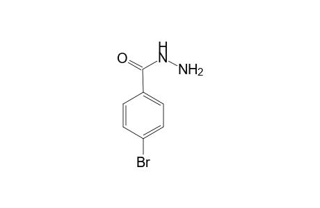 4-Bromobenzhydrazide