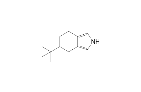 5-(t-Butyl)-4,5,6,7-tetrahydro-isoindole