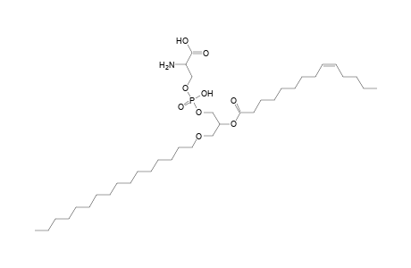 PS O-16:0_14:1