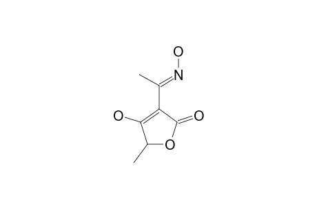 (E)-4-HYDROXY-3-(1-HYDROXY-IMINO-ETHYLIDENE)-5-METHYL-2-OXO-2,5-DIHYDROFURANE