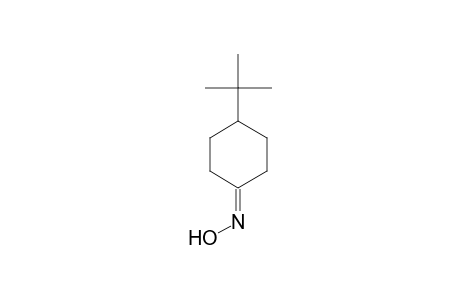 PARA-TERT.-BUTYL-CYCLOHEXANE-KETOXIME