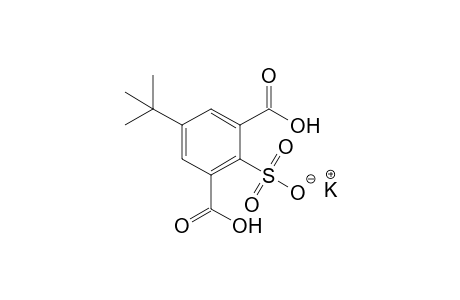 5-tert-butyl-2-sulfoisophthalic acid, 2-potassium salt