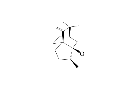 LHSGCOMVMLIVNH-BTQDYEIMSA-N