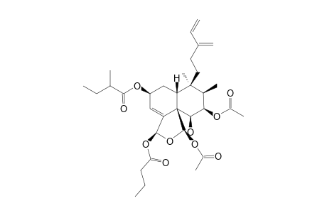 CASEAMEMBrIN-D;REL-(2S,5R,6S,7R,8S,9S,10R,18S,19R)-7,9-DIACETOXY-18-BUTANOYLOXY-18,19-EPOXY-6-HYDROXY-2-(2-METHYLBUTANOYLOXY)-ClERODA-3,13(16),14