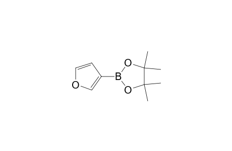 3-Furanboronic acid pinacol ester