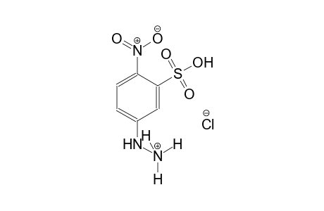 hydrazinium, 2-(4-nitro-3-sulfophenyl)-, chloride