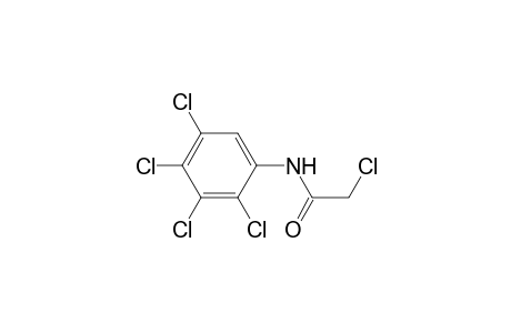 2-Chloranyl-N-[2,3,4,5-tetrakis(chloranyl)phenyl]ethanamide