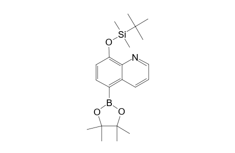 8-(tert-Butyldimethylsilyloxy)-5-(4,4,5,5-tetrameyhyl[1,3,2]dioxaboran-2-yl)quinoline