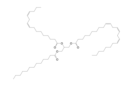 TG 13:0_16:2_24:3