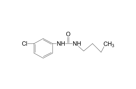1-butyl-3-(m-chlorophenyl)urea
