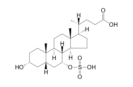 Chenodeoxycholic acid-Sulfate (CDCA-S)