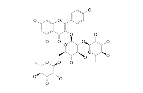 KAEMPFEROL-3-O-(2'',6''-DI-O-ALPHA-RHAMNOPYRANOSYL)-BETA-D-GLUCOPYRANOSIDE