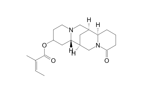 13-Angeloyloxylupanine