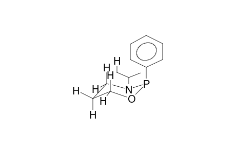 2-phenyl-3-propan-2-yl-1,3,2-oxazaphosphinane