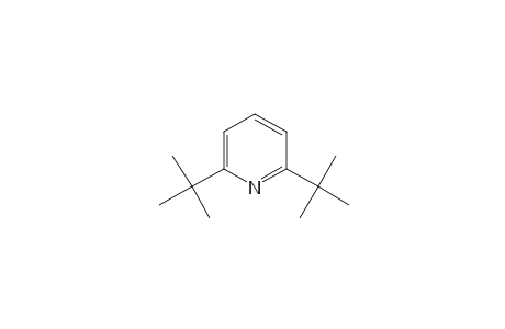 2,6-DI-tert-BUTYLPYRIDINE