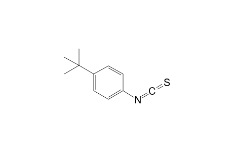 isothiocyanic acid, p-tert-butylphenyl ester