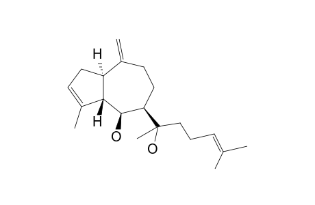 DICTYOL-E