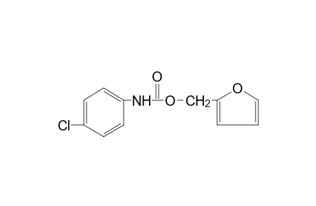 p-chlorocarbanilic acid, furfuryl ester