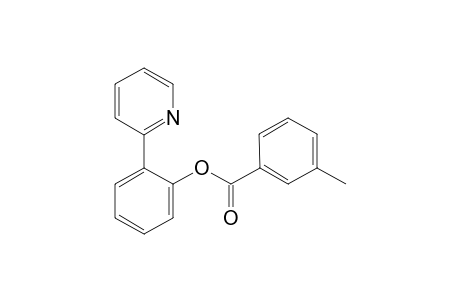 2-(Pyridin-2-yl)phenyl 3-methylbenzoate