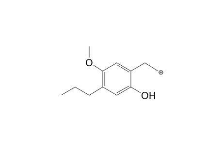 2C-P-M (O-demethyl-glucuronide) MS3_2