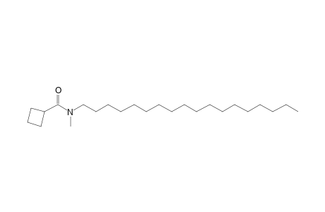 Cyclobutylcarboxamide, N-methyl-N-octadecyl-