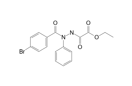 N-(p-Bromobenzoyl)-N'-ethoxyoxalyl phenylhydrazine