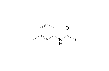 m-methylcarbanilic acid, methyl ester