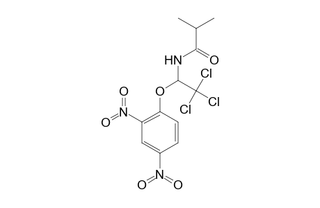 2-Methyl-N-[2,2,2-trichloro-1-(2,4-dinitrophenoxy)ethyl]propanamide