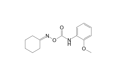 cyclohexanone, O-[(o-methoxyphenyl)carbamoyl]oxime