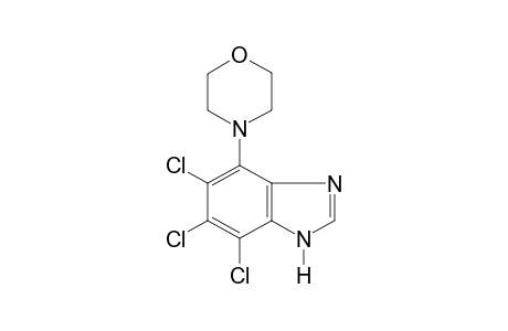 4-morpholino-5,6,7-trichlorobenzimidazole