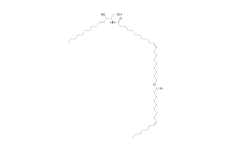 Cer 14:1;2O/20:1;O(FA 16:1)