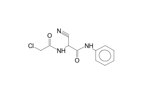 N-CHLOROACETYL-ALPHA-CYANO-ALPHA-AMINOACETIC ACID, PHENYLAMIDE