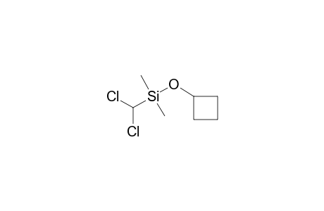 (Cyclobutyloxy)(dichloromethyl)dimethylsilane