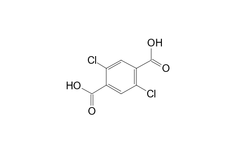 2,5-Dichloroterephthalic acid