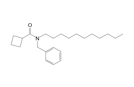 Cyclobutanecarboxamide, N-benzyl-N-undecyl-