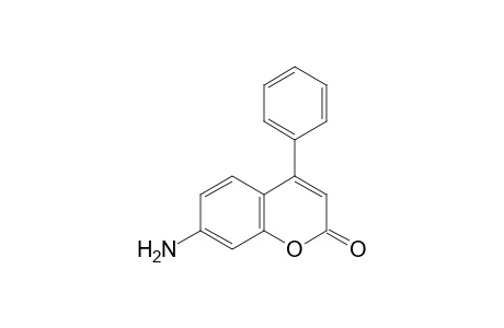 7-Amino-4-phenylcoumarin