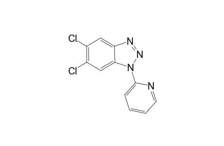 5,6-Dichloro-1-(pyridin-2-yl)-1H-benzo[d][1,2,3]triazole