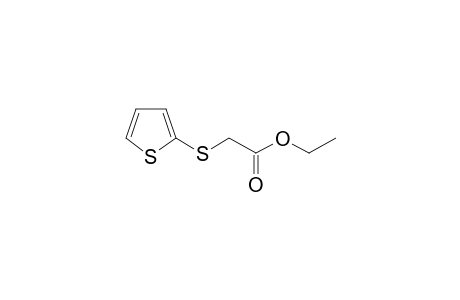 ethyl 2-thiophen-2-ylsulfanylacetate