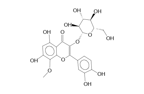 GOSSYPETIN-8-METHYLETHER-3-GLUCOPYRANOSIDE