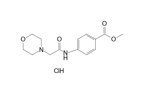 p-(2-morpholinoacetamido)benzoic acid, methyl ester, hydrochloride