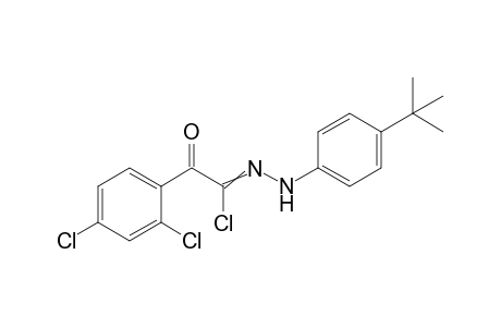 Benzeneethanehydrazonoyl chloride, 2,4-dichloro-N-[4-(1,1-dimethylethyl)phenyl]-alpha-oxo-