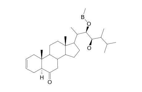 (22R,23R,24S)-22,23-Dihydroxy-24-methyl-5.alpha.-cholest-2-en-6-one methyl boronate dev.