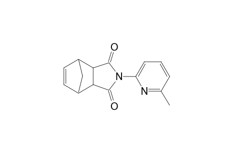 N-(6-methyl-2-pyridyl)-5-norbornene-2,3-dicarboxilide