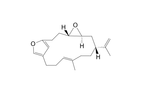 Isocrematofuran