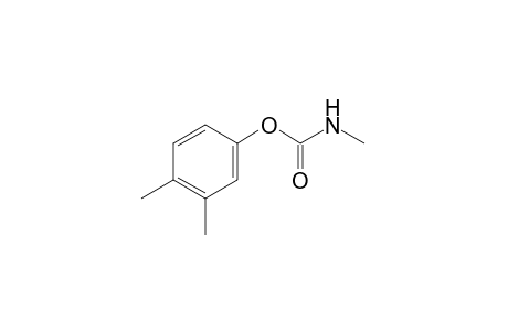 MEOBAL