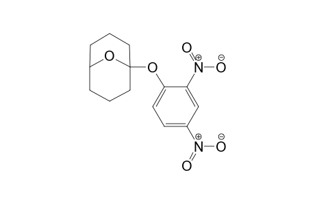 1-(2,4-Dinitrophenoxy)-9-oxabicyclo[3.3.1]nonane