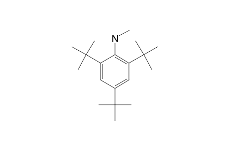 methyl-(2,4,6-tritert-butylphenyl)amine