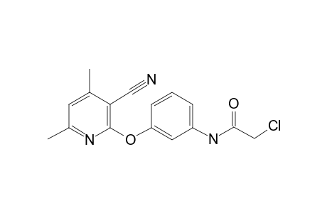 2-Chloranyl-N-[3-(3-cyano-4,6-dimethyl-pyridin-2-yl)oxyphenyl]ethanamide