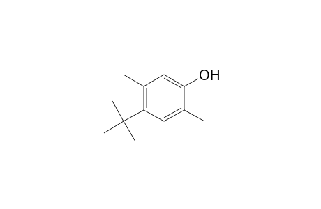 Phenol, 4-(1,1-dimethylethyl)-2,5-dimethyl-