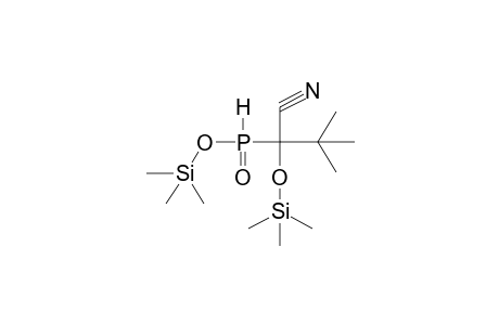 TRIMETHYLSILYL-ALPHA-TRIMETHYLSILYLOXY-ALPHA-CYANONEOPENTYLPHOSPHONITE